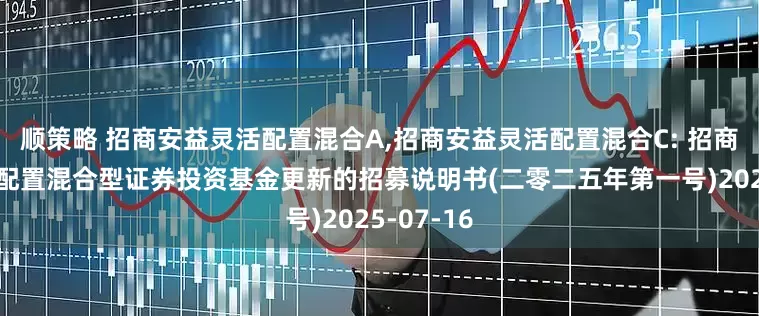 顺策略 招商安益灵活配置混合A,招商安益灵活配置混合C: 招商安益灵活配置混合型证券投资基金更新的招募说明书(二零二五年第一号)2025-07-16