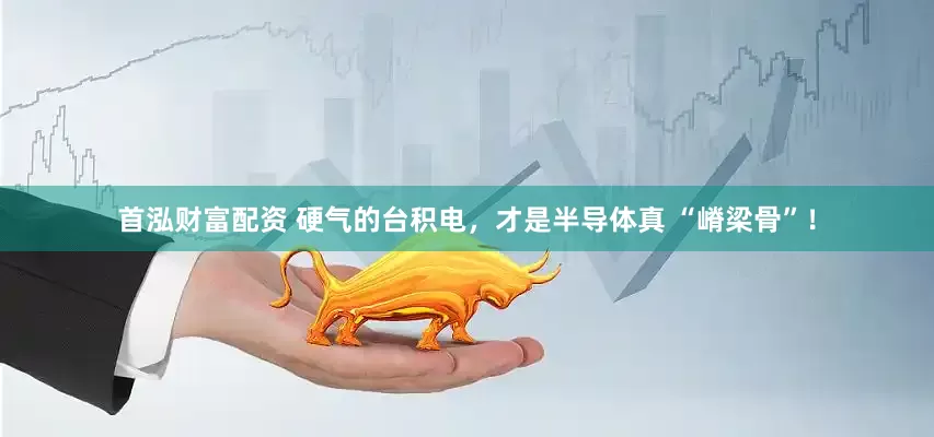 首泓财富配资 硬气的台积电，才是半导体真 “嵴梁骨”！